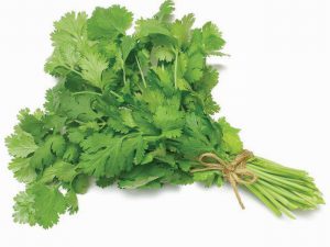 Coriander/PC