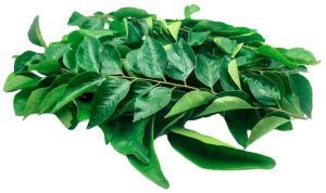 Curry leaves/PC