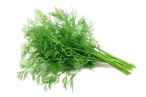 Dill/PC