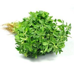 Methi/PC