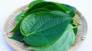 Paan Leaf